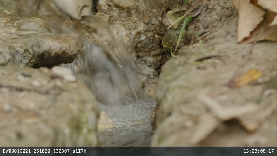 ALEXA 35 ARRIRAW proxy of water running between stones, with the LogC4 to Rec.709 LUT applied and clip name DW0001C021_251020_132307_a1I7H and timecode 13:23:08:17 burned in along the bottom.